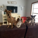 Canine Cowboy - Pet Boarding & Kennels