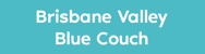 Brisbane Valley Blue Couch - Turf & Lawn Suppliers
