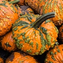 Papa's Pumpkin Patch - Historical Places