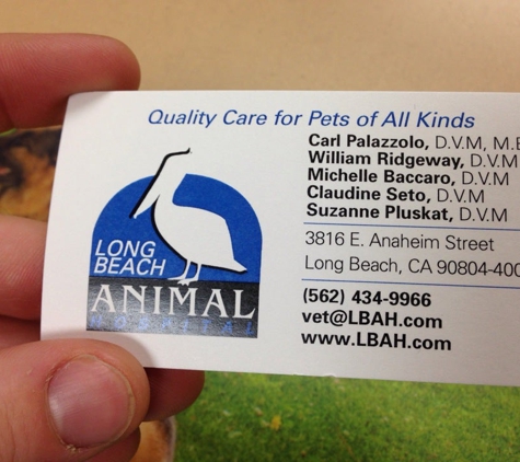 Long Beach Animal Hospital - Long Beach, CA