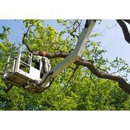 Gordon W. Frazier Tree Service - Tree Service