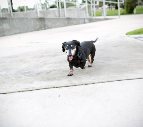 Lake Jesup Animal Hospital - Winter Springs, FL. ...and run around the park without a care in the world!