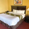 Quality Inn Orlando-Near Universal Blvd. gallery