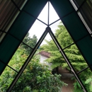 Green Roofing - Roofing Contractors