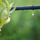 Andy's Irrigation