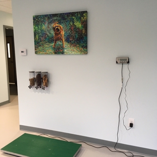 Springs Family Veterinary Hospital - Saratoga Springs, NY. With the treat bar behind the scale, our patients love getting weighed!