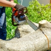 My Denver Tree Service gallery
