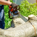 My Denver Tree Service - Tree Service