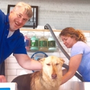Metro Animals Pet Wash - Pet Grooming