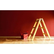 Gallery Image Number 7