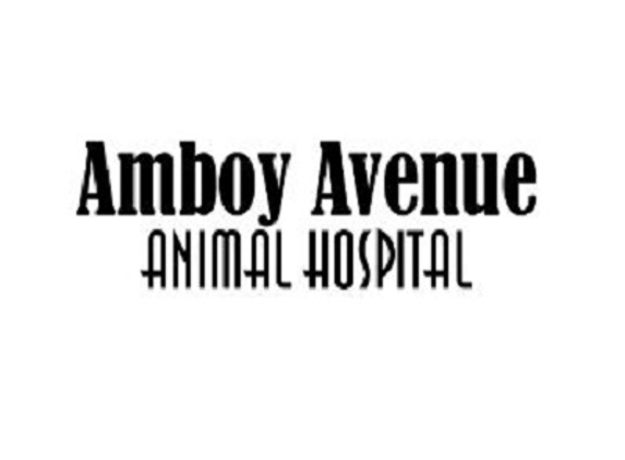 Amboy Avenue Animal Hospital - Metuchen, NJ