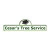 Cesar's Tree Service gallery