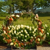 Chatham Flowers & Gifts gallery