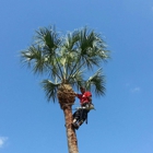 Matt McGinnis Lawn and Tree Care