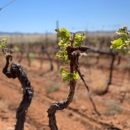 Callaghan Vineyards - Tourist Information & Attractions