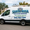 Santa Rosa Raccoon Removal gallery