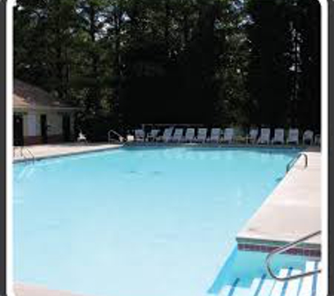 Monkey rock pool service - Palm Harbor, FL