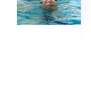 Balboa Pool Service & Repair LLC - Swimming Pool Repair & Service