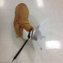 Banfield the Pet Hospital - Veterinary Clinics & Hospitals