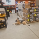 K9 Obedience Academy - Dog Training