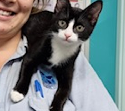 Townsville Veterinary Clinic - Aitkenvale, QLD