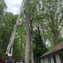 Call My Saw Tree Service - Tree Service