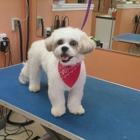 Pretty Paws Dog Grooming