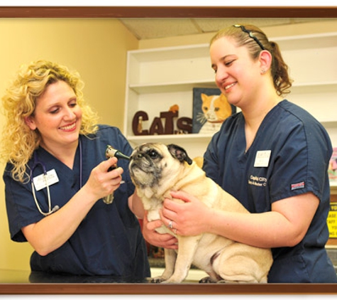 Capital City Spay and Neuter Clinic - Columbus, OH