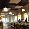 Stella's gallery
