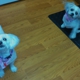 Pewaukee Dog Grooming