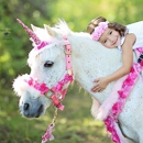 PonyRidesUSA - Pony Rides