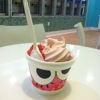 sweetFrog gallery