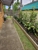 New look Gardens - Gardeners