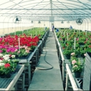 Florida Contract Growers - Nurseries-Plants & Trees