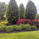 Merit Service Solutions - Landscape Designers & Consultants