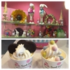 Sweet Cece's Frozen Yogurt & Treats gallery