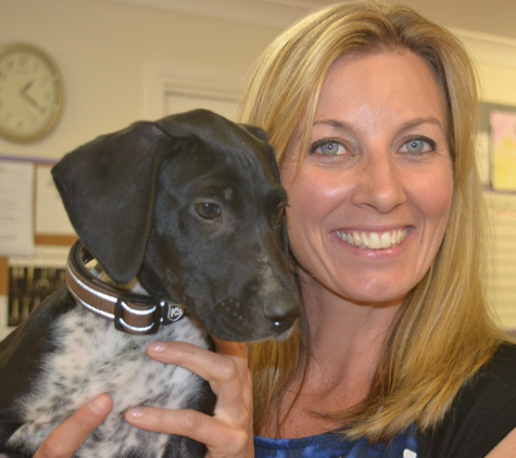 PetFocus Vetcare - Lavington, NSW