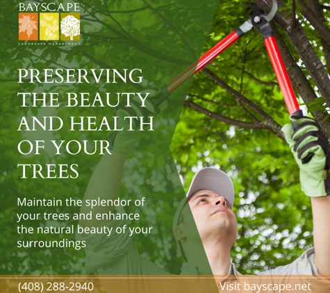 Arbortek Tree Services - Alviso, CA