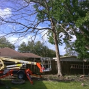 Wood slingers tree service - Tree Service