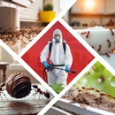 Impressive Exterminating Pest Control