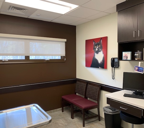 VCA Cheshire Animal Hospital - Cheshire, CT