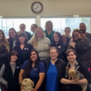VCA Alaska Pet Care Animal Hospital - Veterinarians