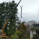 Dudley's Tree and Landscape - Landscape Contractors