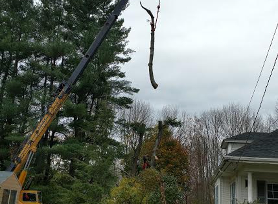 Dudley's Tree and Landscape - Haverhill, MA