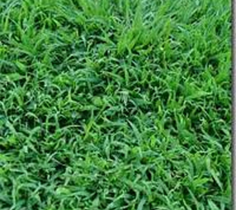 Bundaberg Turf Supplies - Meadowvale, QLD