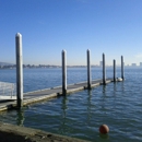 Berkeley Marina - Fishing Bait