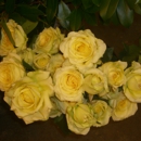 Jordan House Flowers & Int - Flowers, Plants & Trees-Silk, Dried, Etc.-Retail