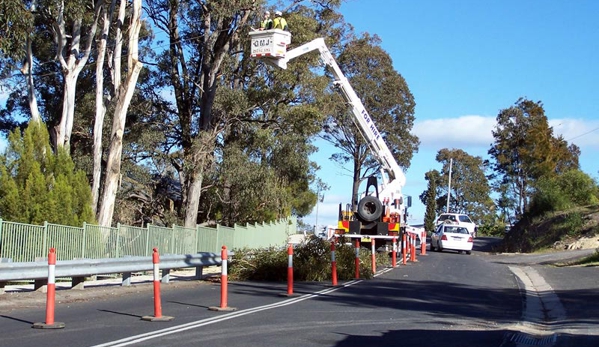 Snowy Monaro Tree Service - Cooma, NSW