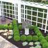 Allen Brothers Landscaping, LLC. gallery