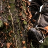 Jackson Tree Service & Land Clearing gallery